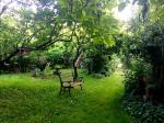 Őrség Lodgement & Guest House—Our garden & yard
